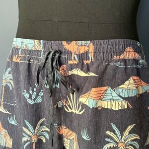 Roark Revival Desert Graphic Board Shorts | 34 | Charcoal Swim Trunks